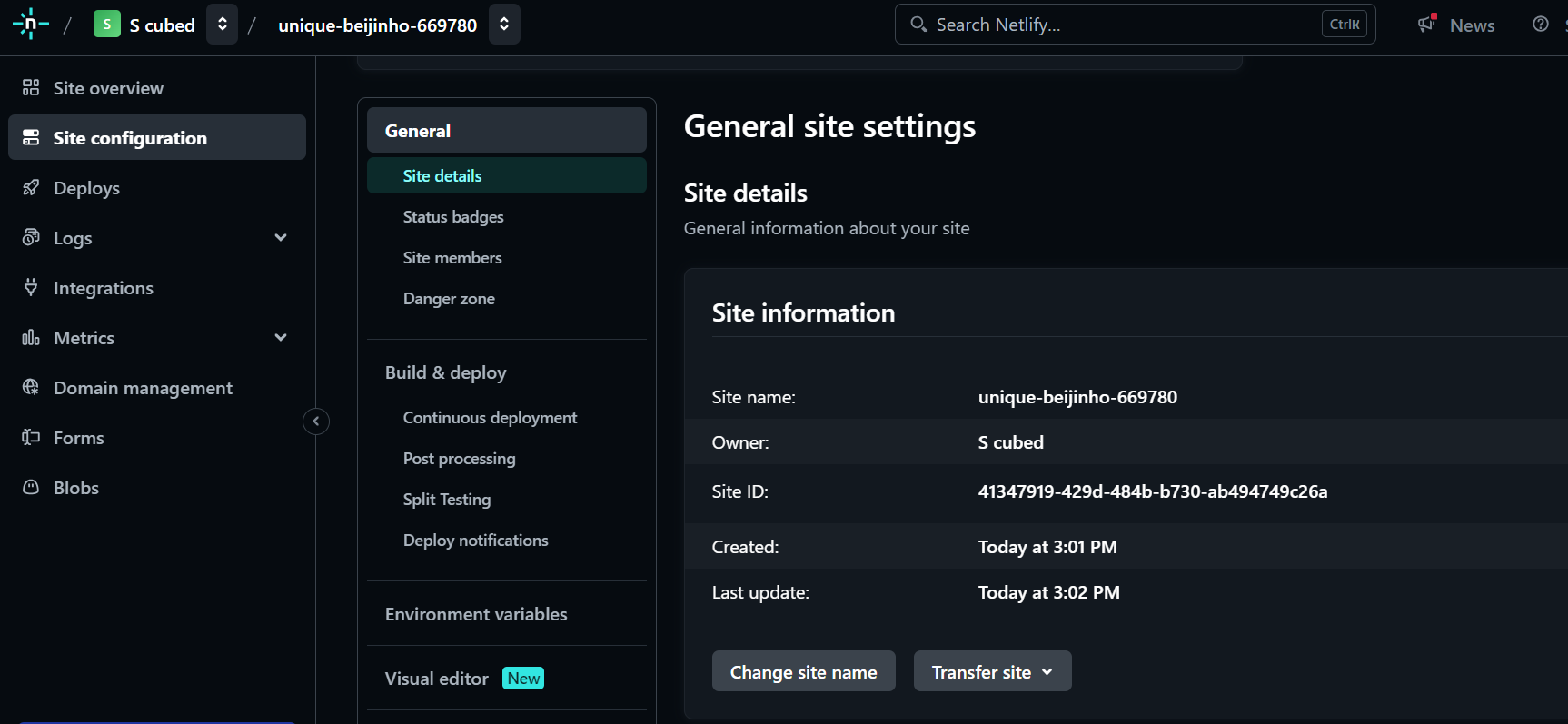 Change Netlify site name